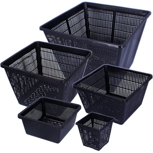 Pond plant baskets square - plant,