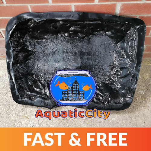 Plastic header pool - pool, in