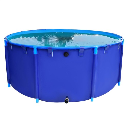 Canvas fish pond above - canvas,