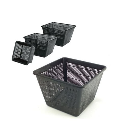 Square pond planting - pond,