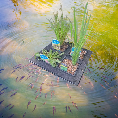 Pond floating island marginal - floating,